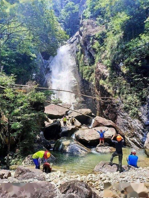 大米炒一炒、泡一泡，清肠、健脾、益肺样样行！5个“长寿宝”快马住→